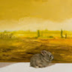 Meet your Posher, Adeline